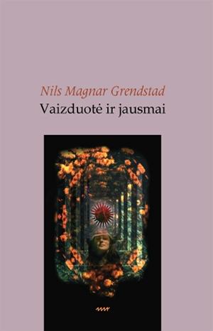 Vaizduotė ir jausmai