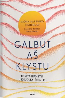 Galbūt aš klystu ir kita budis tų vienuolio išmintis