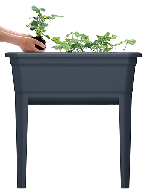 Daigykla su kojomis RESPANA PLANTER ECOLINE SET 3in1, juodos sp., 75 x 37 x 78 cm