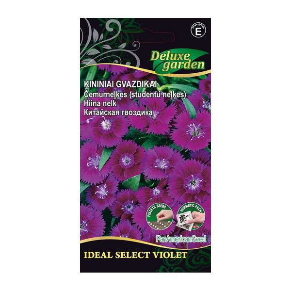 Kininių gvazdikų sėklos IDEAL SELECT VIOLET, 10 vnt