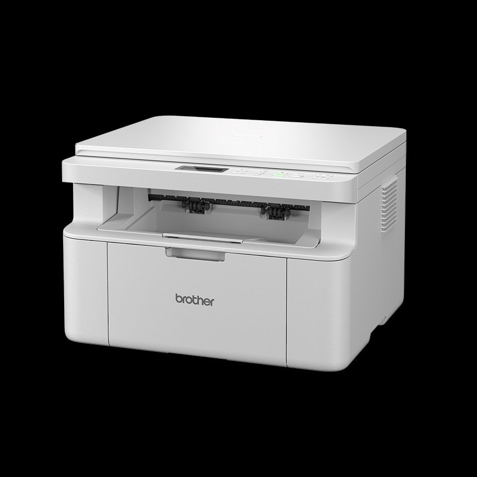 Daugiafunkcinis spausdintuvas Brother DCP-L1630W