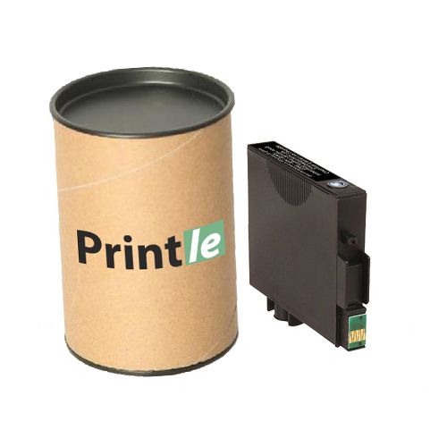 Epson T0441 (C13T04414010) kasetė juoda/black 600psl (Printle)  (su mikroschema)