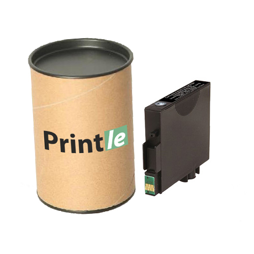 Epson T0481 (C13T04814010) kasetė juoda/black 450psl (Printle)  (su mikroschema)
