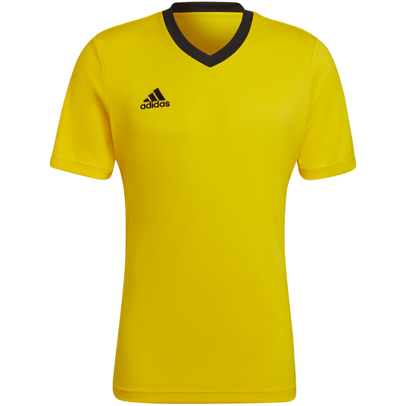 Vyriški Marškinėliai Adidas Entrada 22 Jersey Geltona HI2122