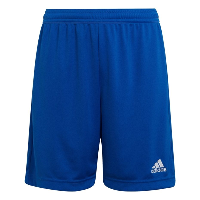 Vaikiški Šortai Adidas Entrada 22 Mėlyna HG6291