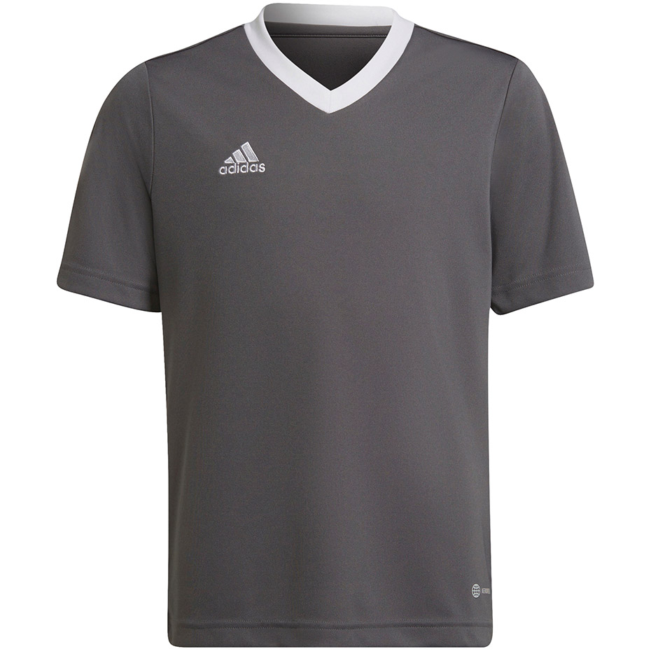 Vaikiški Marškinėliai Adidas Entrada 22 Jsy Pilka H57499