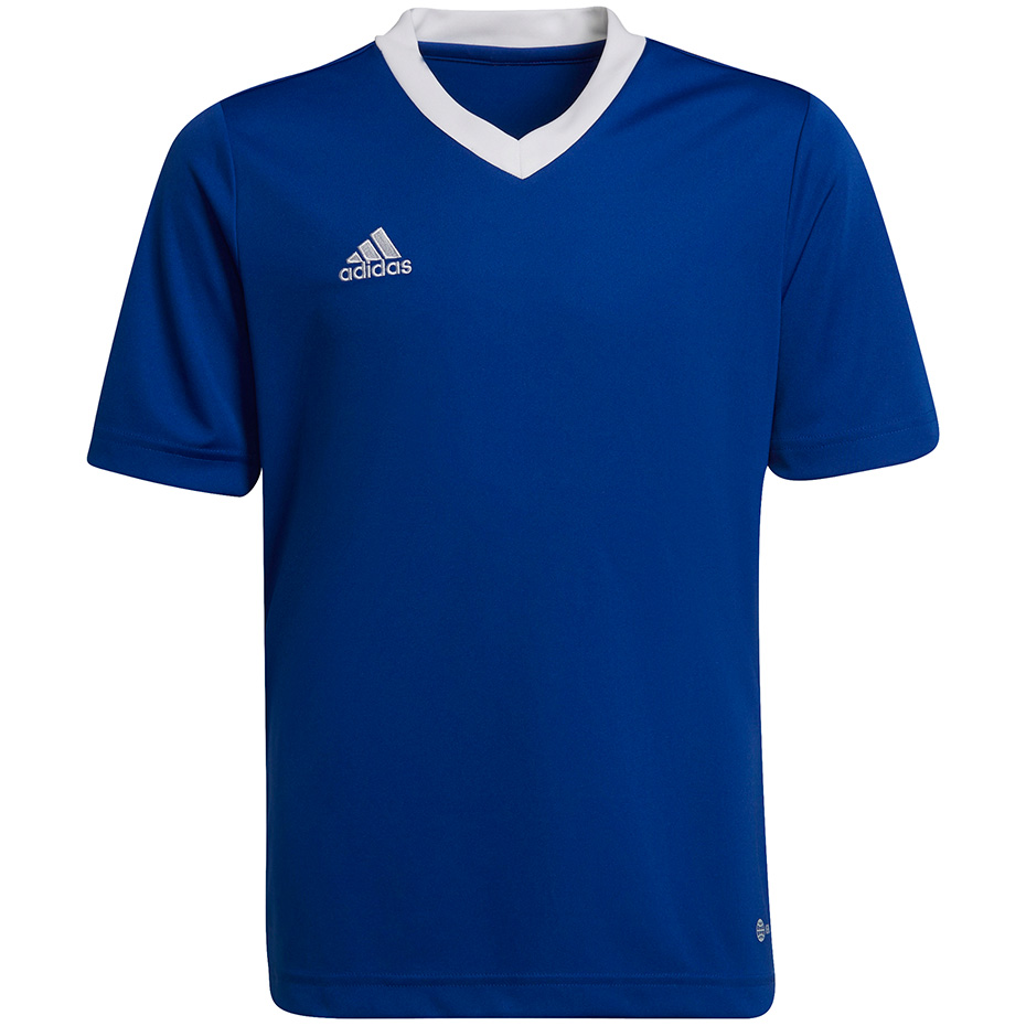 Vaikiški Marškinėliai Adidas Entrada 22 Mėlyni HG3948