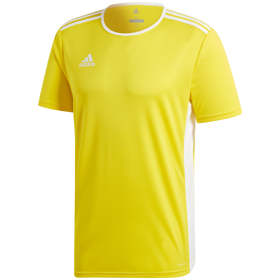 Vaikiški futbolo marškinėliai adidas Entrada 18 JR CD8390