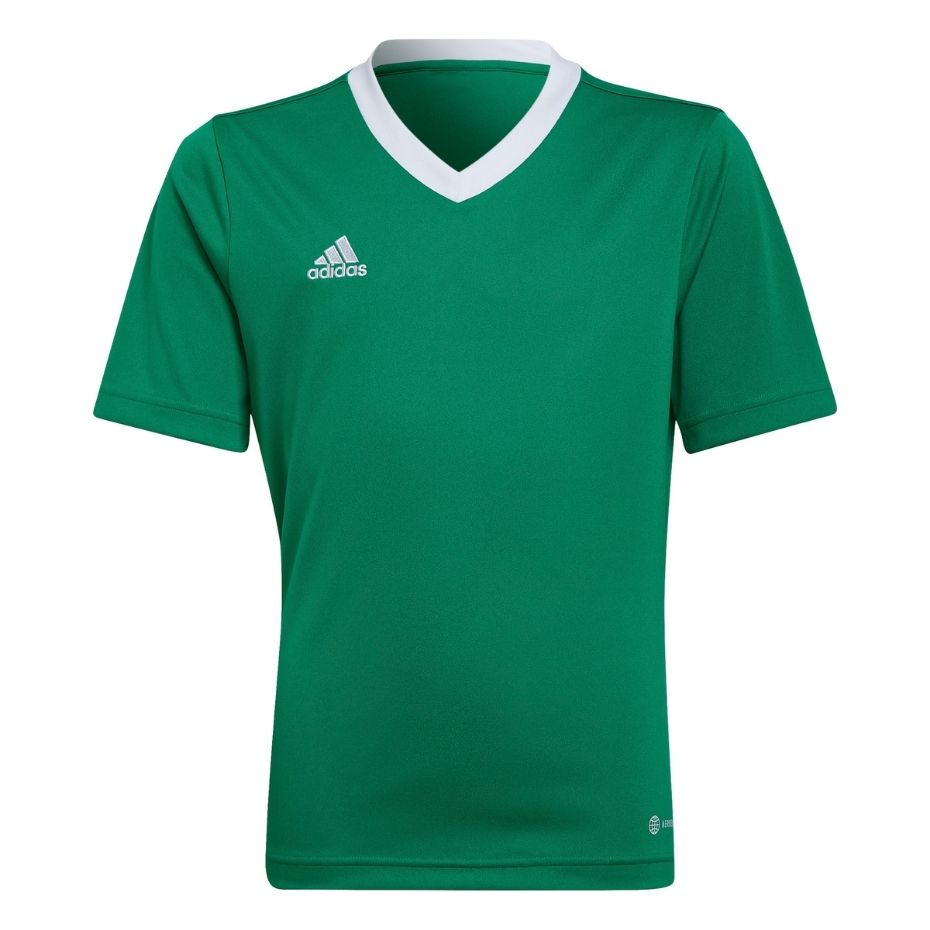 Vaikiški Marškinėliai Adidas Entrada 22 Jersey Žalia HI2126