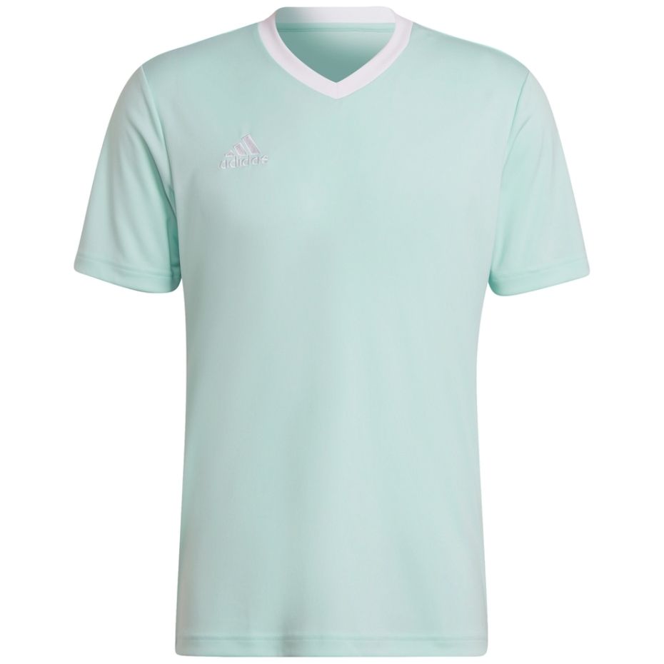 Vyriški Marškinėliai Adidas Entrada 22 Jersey Mintinis HC5073