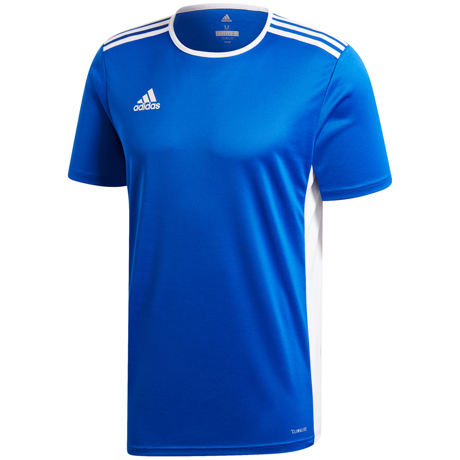 Vaikiški futbolo marškinėliai adidas Entrada 18 JR CF1037