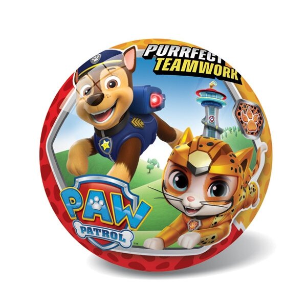 STAR kamuolys Paw Patrol cat 23 cm