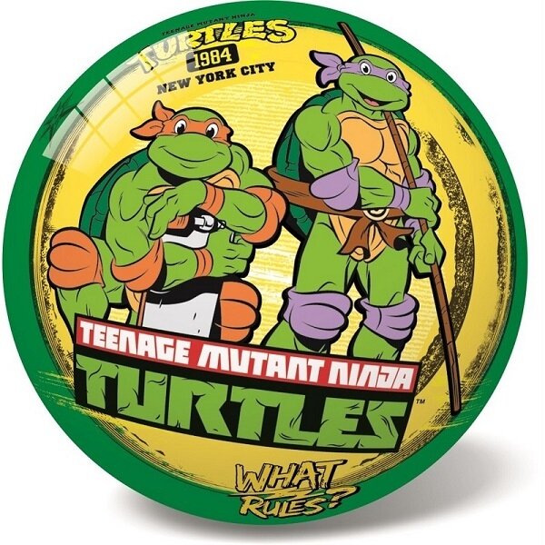 STAR kamuolys  Ninja Turtles retro 23 cm