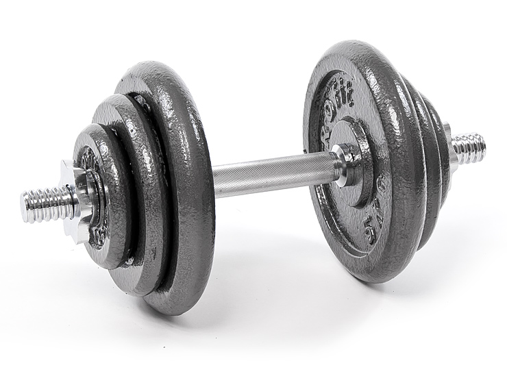 Hantelis PROFIT 20kg  DK 4126