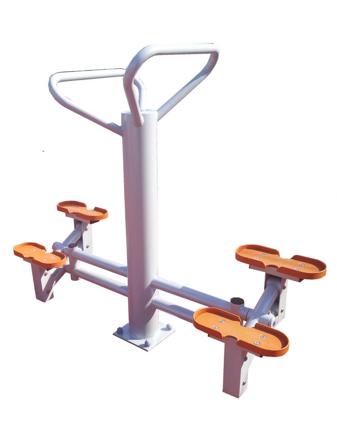 Steperis dvipusis RT25-2