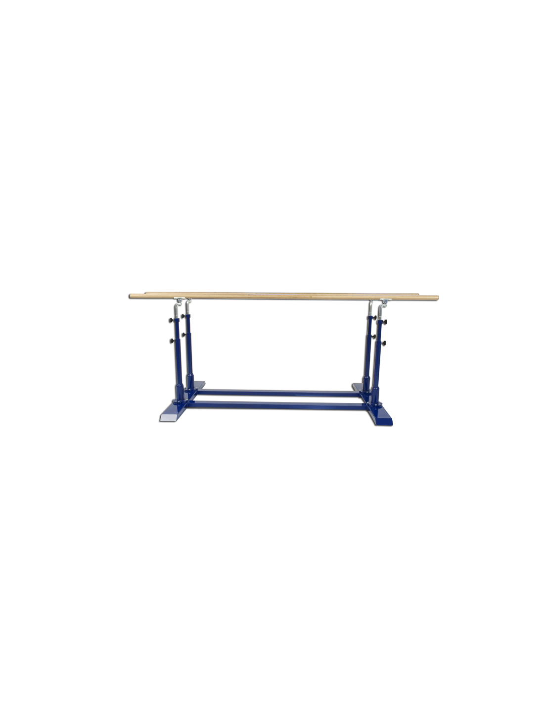 Lygiagretės Sport system