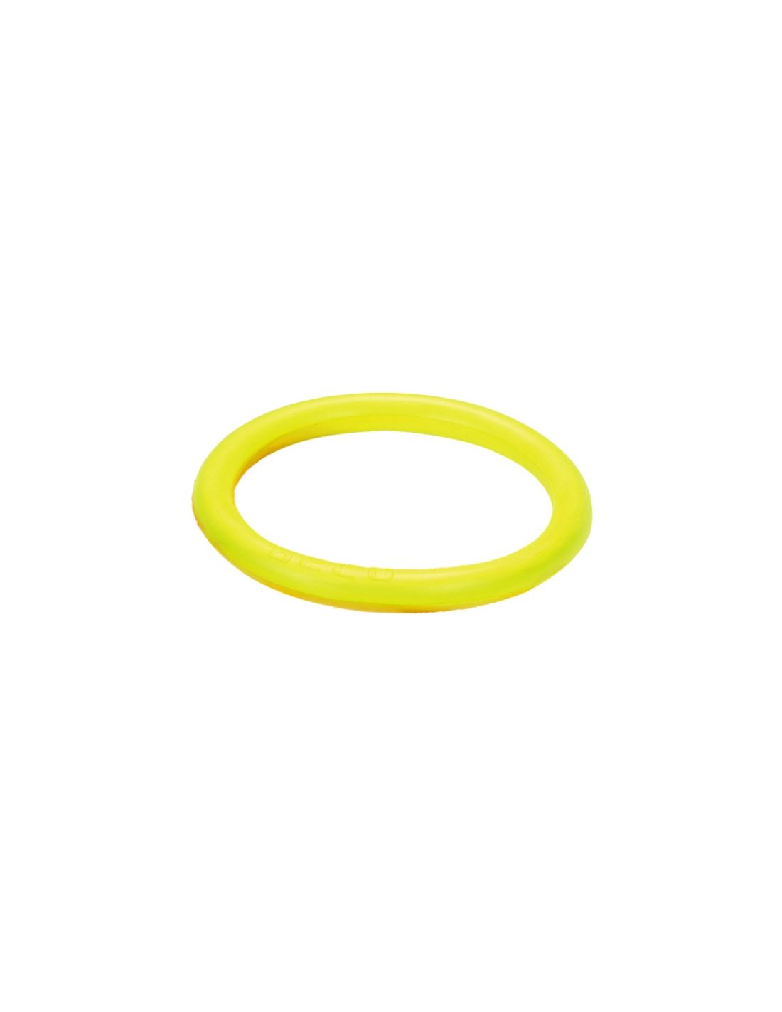Aqua fitneso įrankis UNIVERSAL RING 34cm