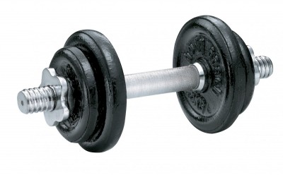 Ketaus svarmuo / hantelis SPORTBAY 10 kg