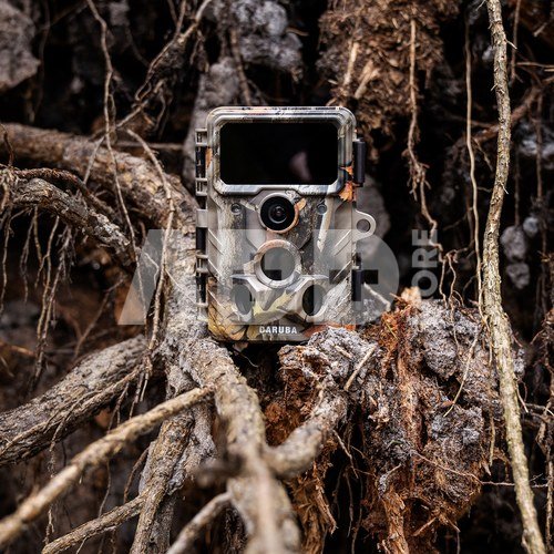 Caruba Wildcamera Moose 4K