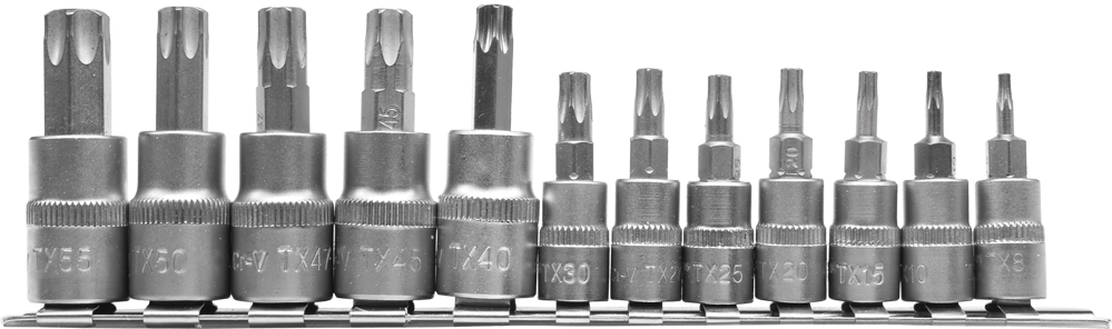 Įpresuotų antgalių rinkinys 1/4"+3/8", 12 vnt T-Star, T8-T55 (YT-04331)