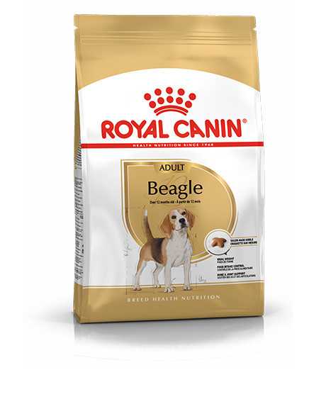 Royal Canin Beagle Adult sausas maistas šunims : Pakuotė - 12 kg