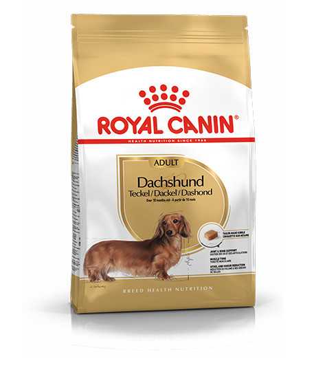 Royal Canin Dachshund Adult sausas maistas šunims : Pakuotė - 1.5 kg