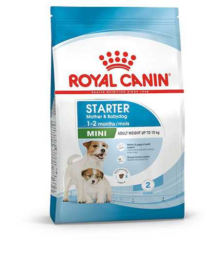 Royal Canin Mini Starter sausas maistas šuniukams : Pakuotė - 8 kg