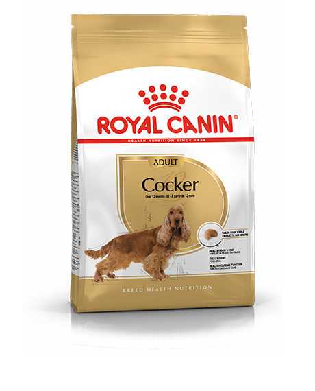 Royal Canin Cocker Adult sausas maistas šunims, 3 kg