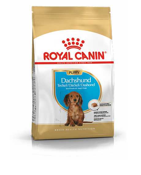 Royal Canin Dachshund Puppy sausas maistas šunims, 1.5 kg