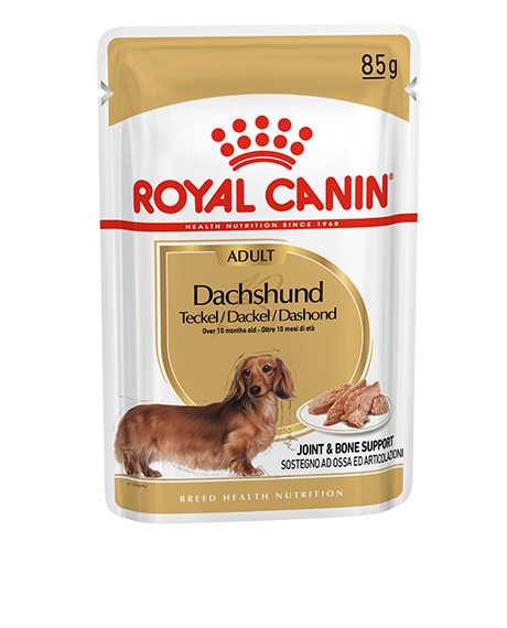 Royal Canin Dachshund konservai šunims : Pakuotė - 12 x 85 g