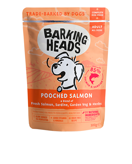 Barking Heads Pooched Salmon konservai šunims su lašiša, 300 g : Pakuotė - 5 x 300 g