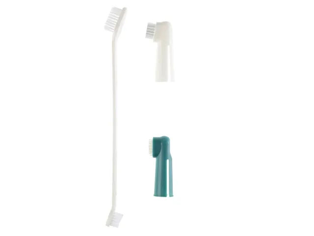 Gimdog Tooth Brushes Set šunų dantų šepetėlių rinkinys
