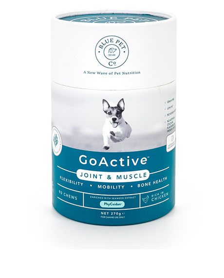 Blue Pet Co GoActive papildai šunų sąnariams ir raumenims, vištienos skonio, 270 g