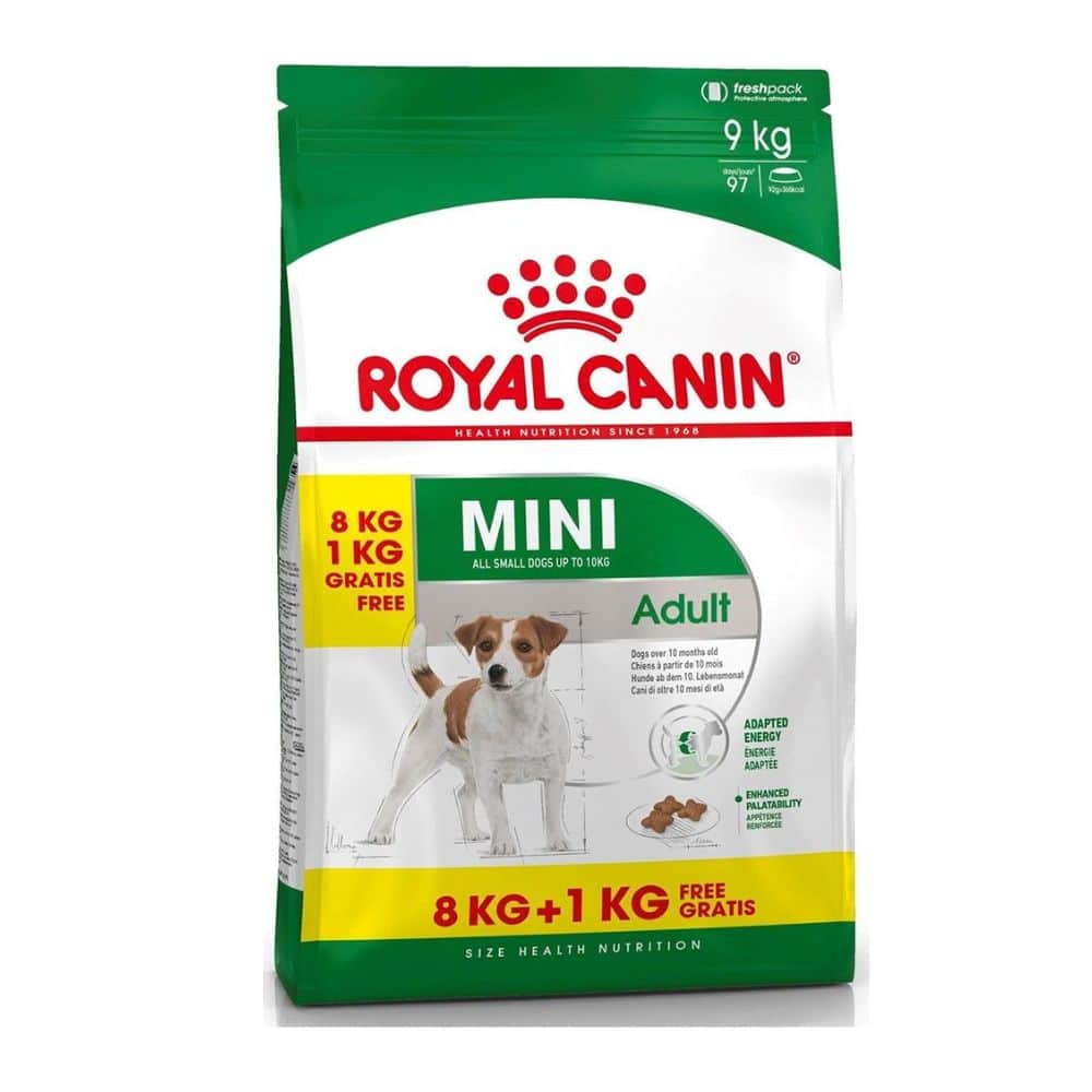 Royal Canin Mini Adult sausas maistas mažų veislių suaugusiems šunims 8kg + 1kg nemokamai