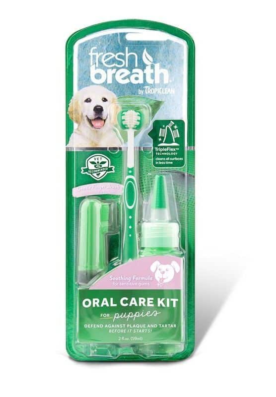 TROPICLEAN FRESH BREATH ORAL CARE KIT - dantų priežiūros rinkinys jauniems šunims