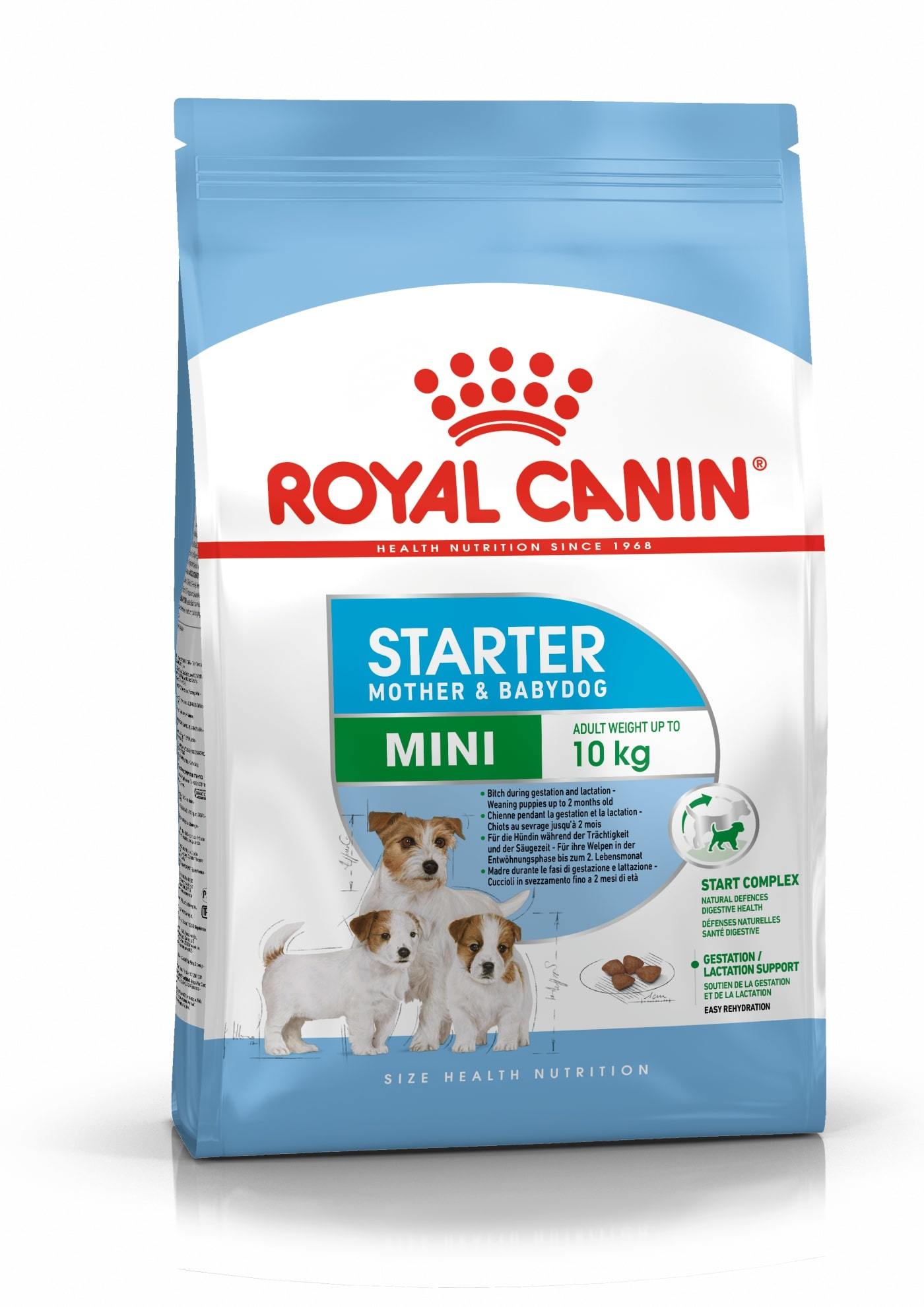 Royal Canin Mini Starter sausas maistas šuniukams : Pakuotė - 1 kg