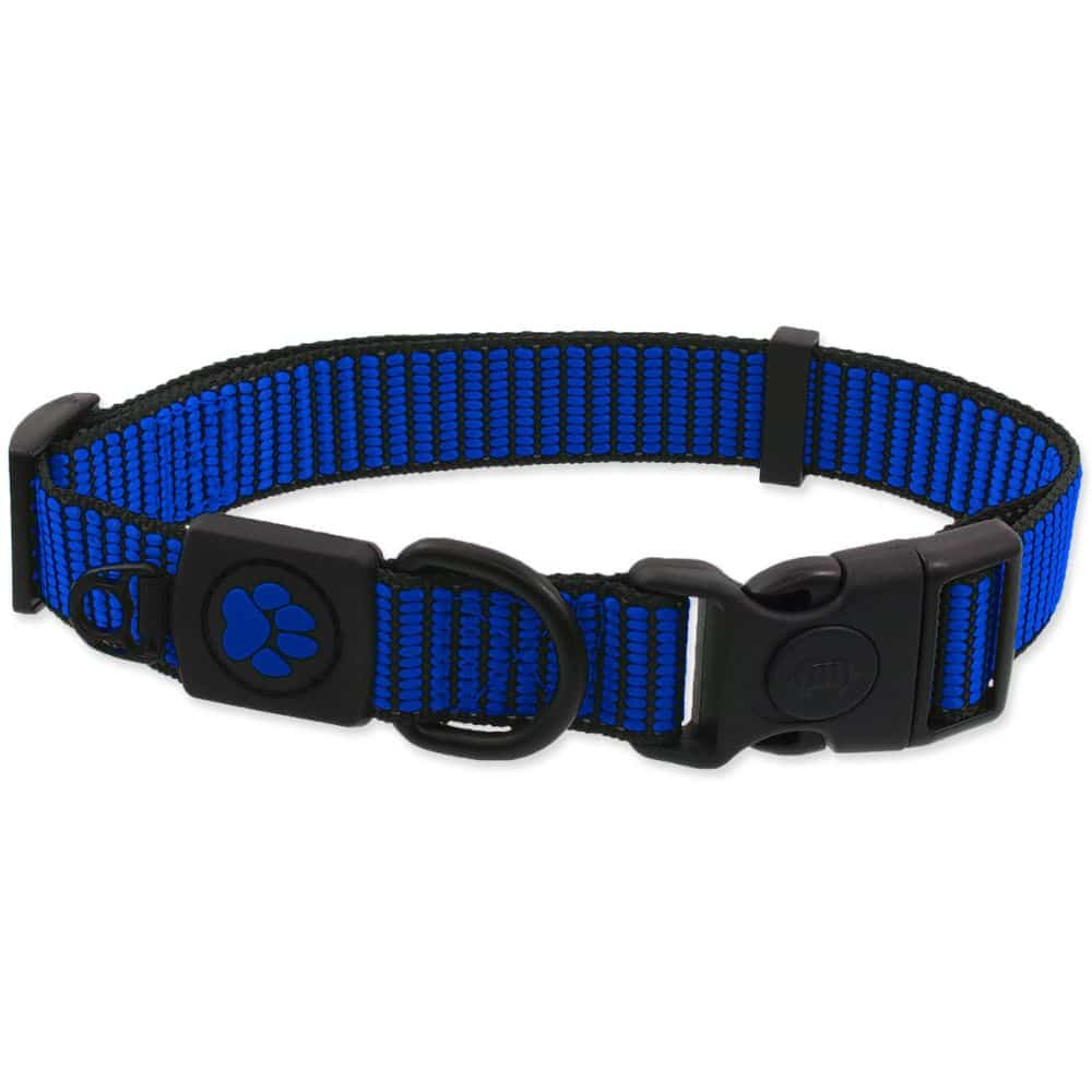 Active Dog Collar Premium XS 1cm x 21-30cm plonas antkaklis šunims ir katėms - Produkto Spalva Laimo