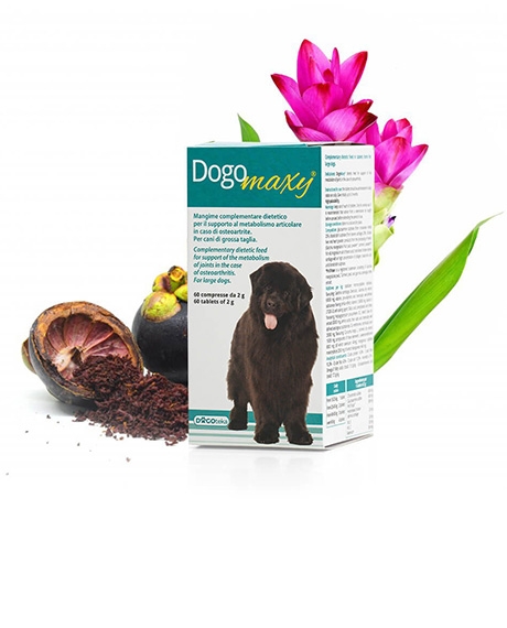 Dogoteka DogoMaxy papildai didelių veislių šunų sąnariams, N60