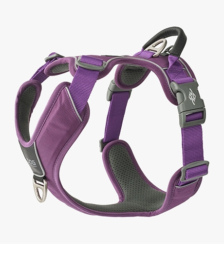 Dog Copenhagen Comfort Walk Pro petnešos, violetinės : Dydis - XS