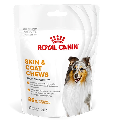 Royal Canin Skin - Coat papildai šunų kailiui ir odai, 240 g