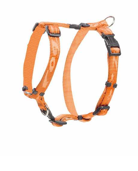 Rogz Alpinist petnešos, oranžinės : Dydis - S