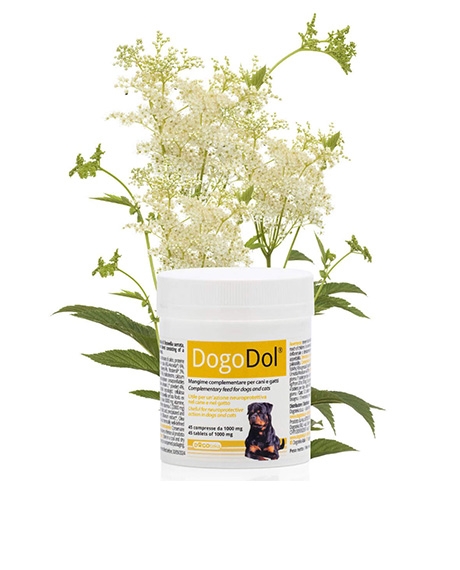 Dogoteka DogoDol papildai šunų ir kačių neuroprotekcijai, N45