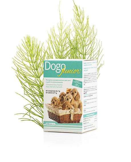 Dogoteka DogoJunior papildai šuniukų ir kačiukų vystymuisi, N60