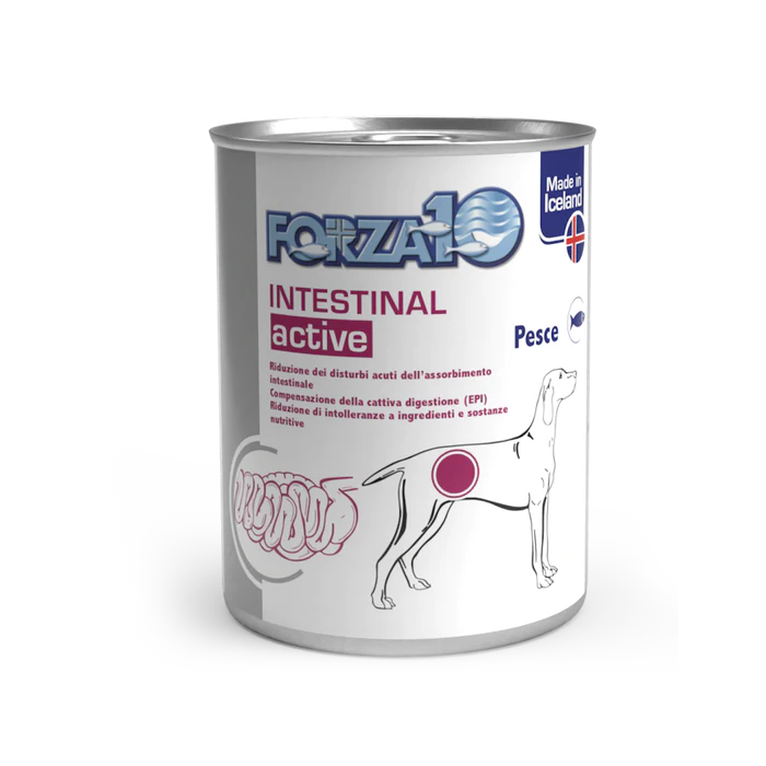 Forza 10 Intestinal ActiWet drėgnas maistas šunims, turintiems virškinimo sutrikimų, 390 g