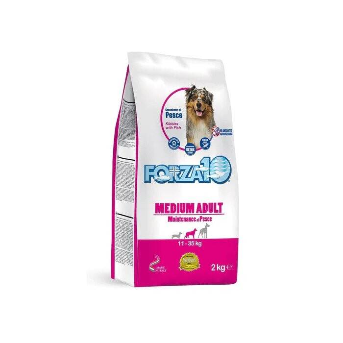 Forza10 Medium Adult Maintenance Fish sausas maistas vidutinių veislių šunims, 2 kg
