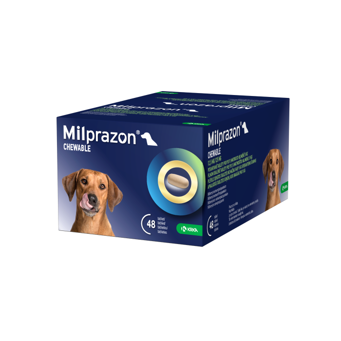Milprazon Chewable 12,5 mg/125 mg tabletės nuo kirminų šunims, N4