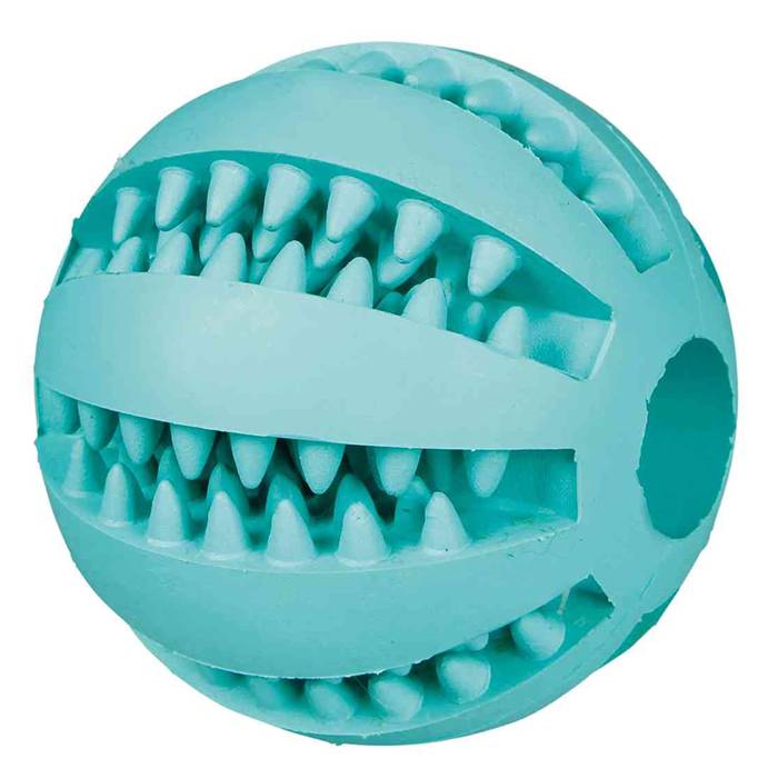 Trixie Denta Fun mėtinis kamuolys, 5 cm