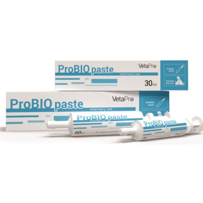 VetaPro ProBio Paste papildai šunims ir katėms, palaikantys aktyvų virškinamąjį traktą, 60 ml