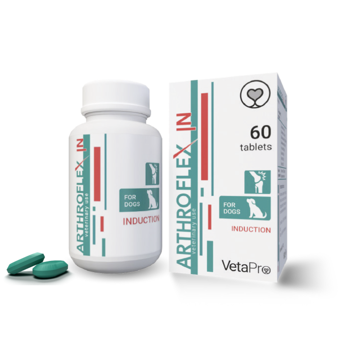 VetaPro Arthroflex In papildai šunų sąnariams ir kremzlėms, N60