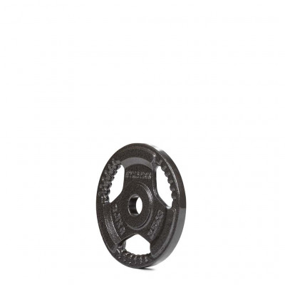 Ketaus svarmenys GYMSTICK 1,25-20kg (Svoris: 2.5 kg)
